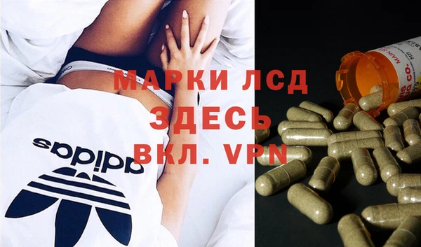 дурь Аркадак